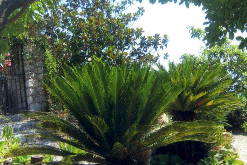 Villa Branco Taormina Dış mekan fotoğraf